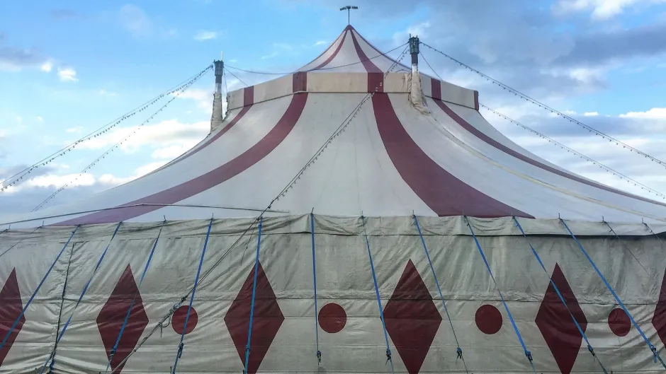 Zirkus_Wildtierhaltung_c.Pixabay_circus-819218_1920